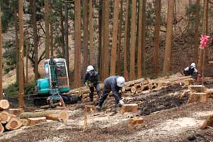 福島県川俣町の山木屋地区で森林除染の効果を検証中