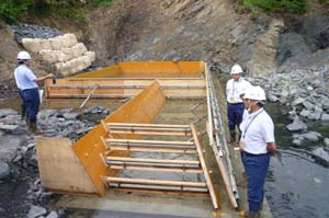 海岸防災林の復旧に国産材型枠用合板、防潮護岸に活用