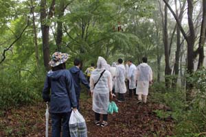 日・中・韓の林務関係者が雨の中で森林セラピー体験
