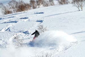 島牧村のＣＡＴ（雪上車）スキーツアーが新たな観光資源に