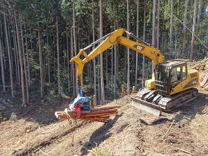 Tree harvesting areas in national forests with the logging right for private companies for up to 50 year