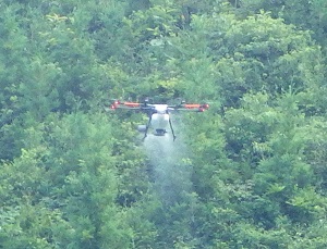 茨城森林管理署がドローン使い林地除草剤散布