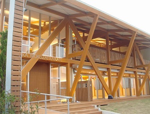 大黒柱に100年生の飫肥スギ、大阪木材会館が完成