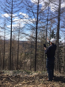 北海道十勝地方の「三井物産の森」でスマート林業を実践
