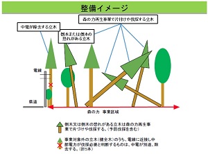 天竜森林組合・静岡県・中部電力が停電防止事前伐採事業