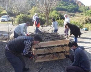 広島北部署が広葉樹の枯れ枝を提供しコウノトリの巣づくり