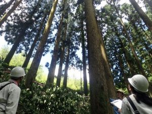 鹿児島大学が「次世代林業マイスター養成講座」の受講生募集