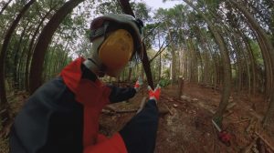 「林業安全教育360°VR」の動画メニュー拡充