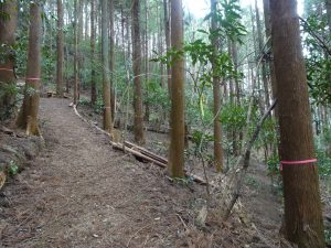 高尾山で林業の可能性を広げる「森と踊る」