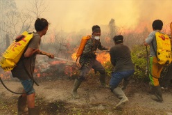 連続セミナー「森林火災と地球温暖化」を実施中