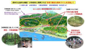 鳥取県が「豊かな森づくり協働税」を新設へ