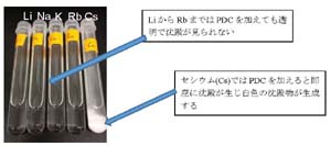 リグニンからセシウム除去に使える物質を発見