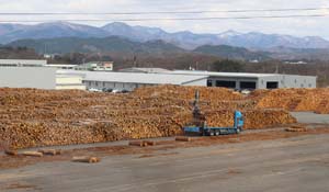 ｗｗ集成材よりも200円安い 協和木材新庄工場 日本林業調査会 J Fic