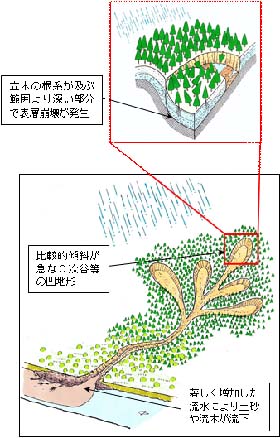 治山ダム