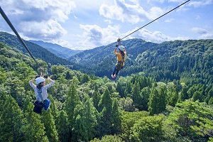 Growing interest in creating “forest service industry”