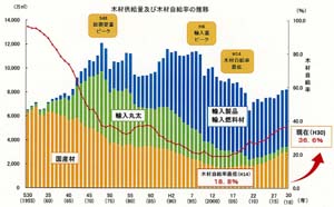 木材自給率が36.6％に上昇、８年連続アップ