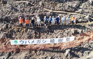 高知で初の「土佐備長炭　ウバメガシ植樹祭」実施