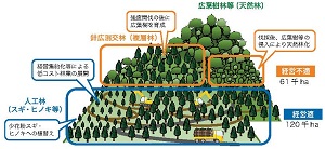 岡山県が新ビジョン、人工林の３分の２で積極経営