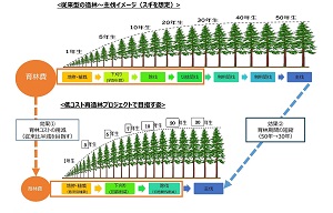 全森連と農林中金が「低コスト再造林プロジェクト」