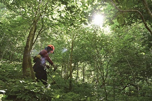 2021年版の「青い森のキコリ」カレンダーを販売中