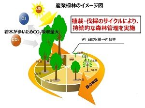 製紙業界も2050年にCO2ゼロへ、長期ビジョン発表