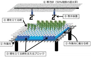 土を使わないでさし木苗を育てる「エアざし」のマニュアル作成