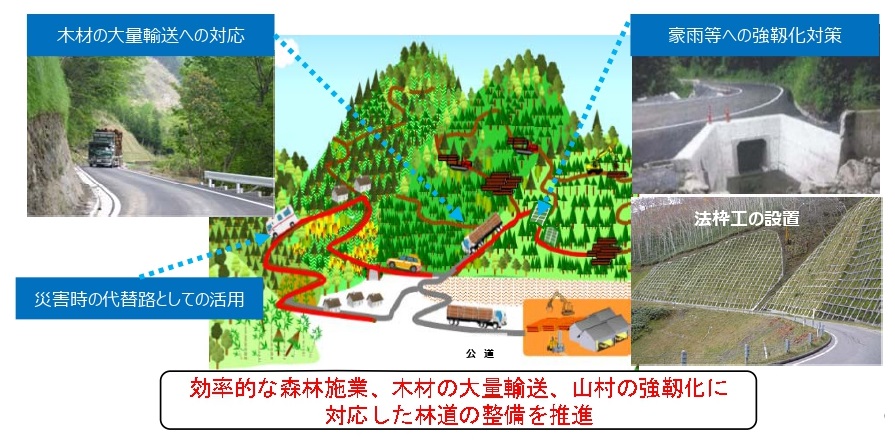 路網検討会が ６つの論点 提言 林道の強靭化が急務 日本林業調査会 J Fic