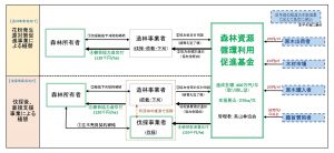 再造林支援へ「石川県森林資源循環利用促進基金」創設