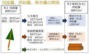 コロナ禍で国有林材（素材）の供給量が389万m3に減少