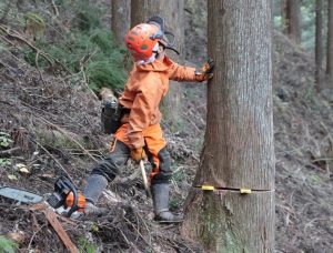全買連が木材利用拡大インターンシップセミナー