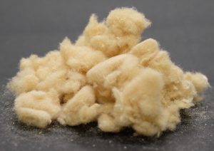 竹からセルロースナノファイバー、おおいたＣＥＬＥＥＮＡ（セレーナ）創業