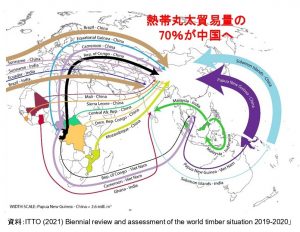 中国が熱帯丸太の７割輸入、日本のシェアは0.6％、ITTO調査