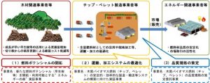 早生樹で「エネルギーの森」造成、第１号の３件決まる