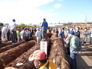 全市連が大口市場で「全国優良木材展示会」を開く