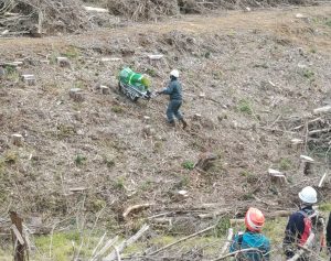 「電動苗木運搬車両」のデモンストレーションを行う