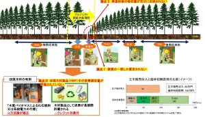 「森林クレジット」拡大へ再造林のCO2カウントなど提案