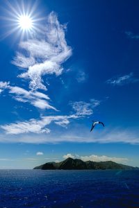 『いざ！母島へ』が世界遺産フォトコンのグランプリ受賞