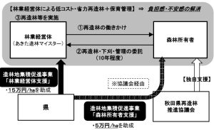 秋田県が再造林拡大の新事業、林業経営体に約10年間委託