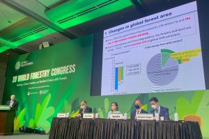 ソウルで第15回世界林業会議、「森林宣言」採択