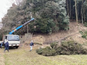 シイを利用してイノシシ害を防ぐ「一石二鳥」対策を実証中