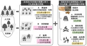 森林投資検討会が中間とりまとめ、ガイドラインを示す