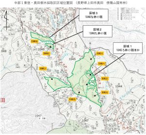 樹木採取権者に長野森林組合、10年間かけカラマツ伐出