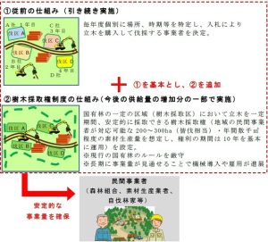 大澤木材（釧路市）を樹木採取権者に選定、全森林管理局で出揃う