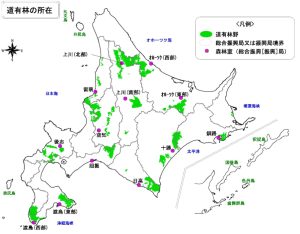 道有林を活用し約60万ｔのＪ－クレジット創出へ