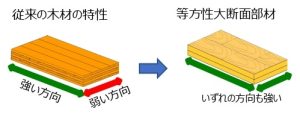 世界初！「等方性大断面部材」を2030年度までに社会実装