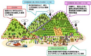 「稼ぐ林業」実現へ、長野県が新「森林づくり指針」