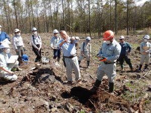 国有林内で初の「カラマツエリートツリー特定母樹展示林」