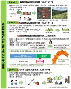 高知県が再造林対策強化、「推進室」新設し「プラン」策定へ