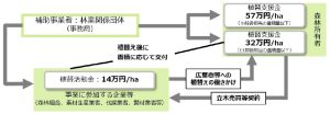 スギ人工林の伐採・植え替えに取り組む森林所有者等に協力金を交付